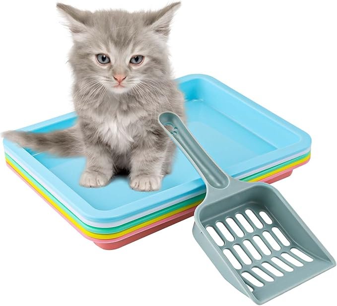 kitten litter box 