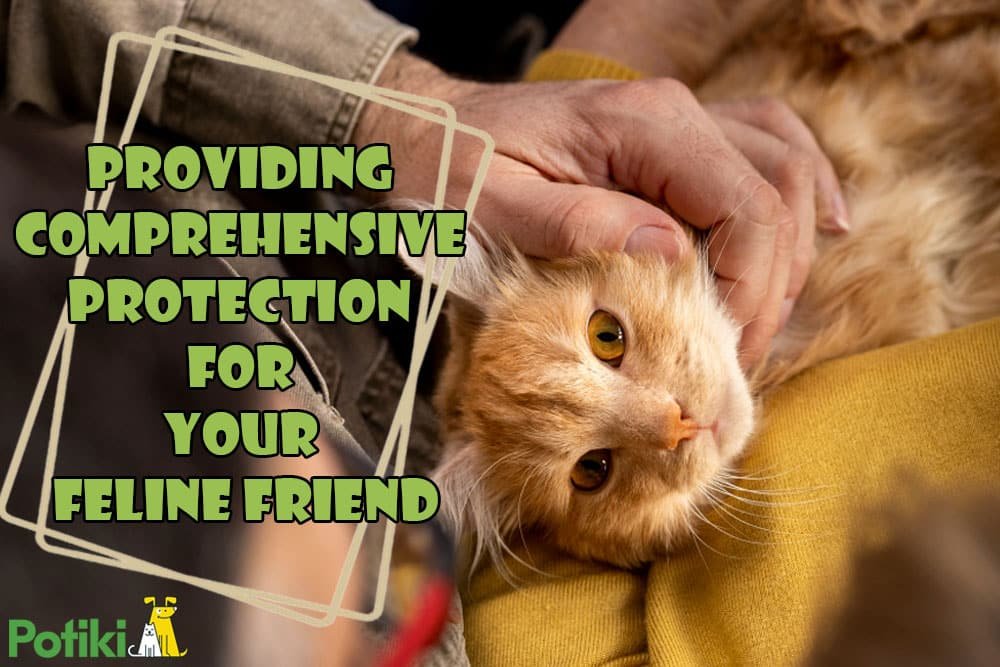 Cat Insurance Benefits: Protect Your Feline Friend Today