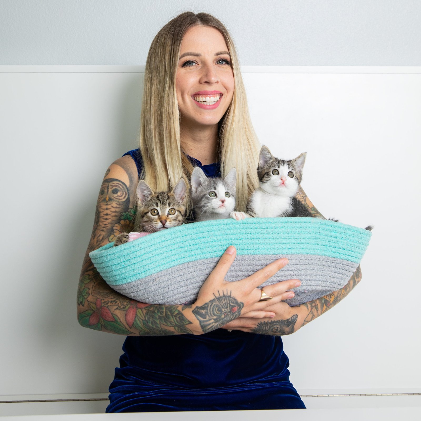 Lady Kitten: Adorable Tips for Raising Your Feline Friend