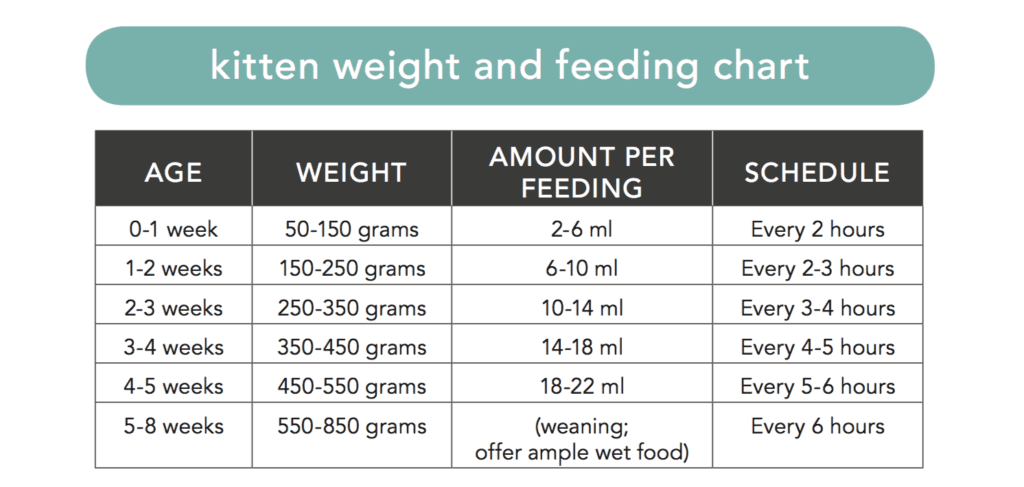 Kitten Lady Feeding Chart