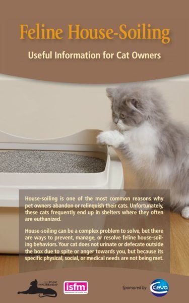 Cat-Not-Using-Litter-Box