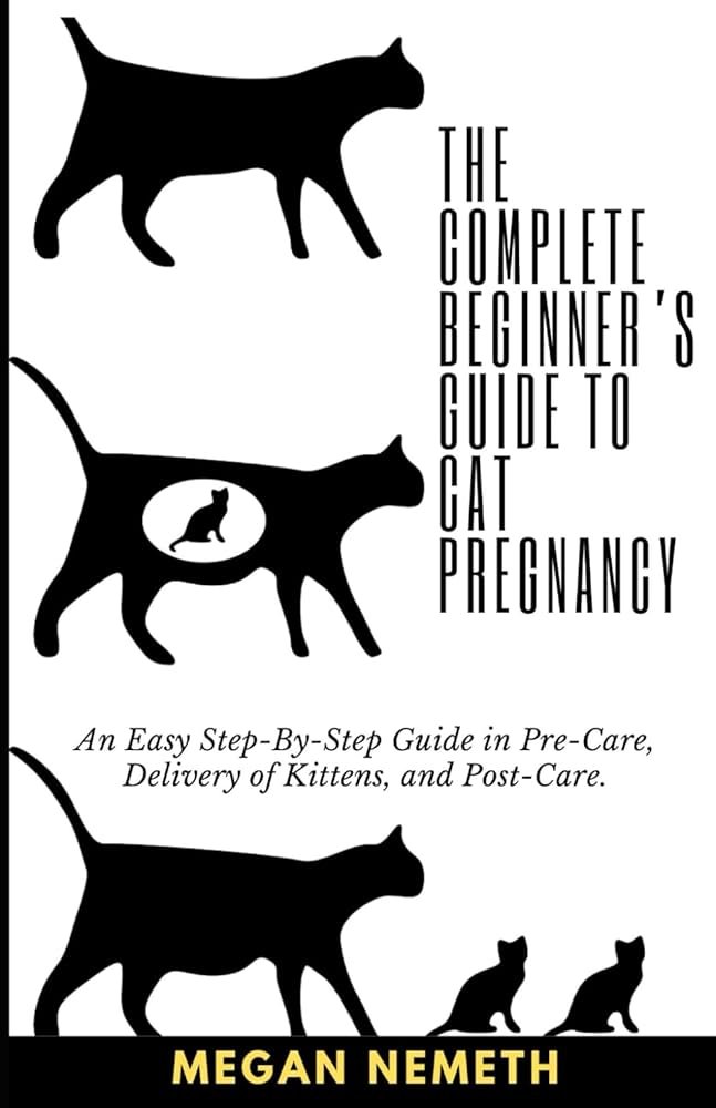 Cat Pregnancy Complete Guide