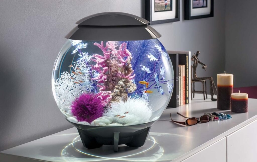 Cat Proof Fish Tank