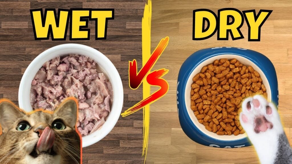 Cat Wet Vs. Dry Food