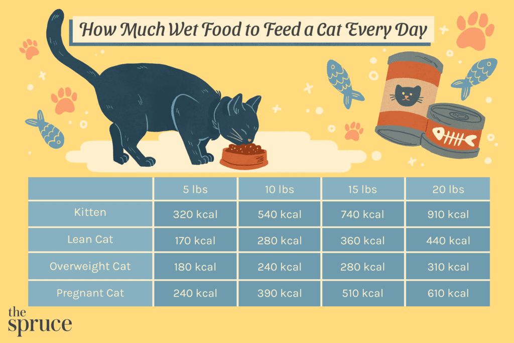 How Much to Feed a Cat