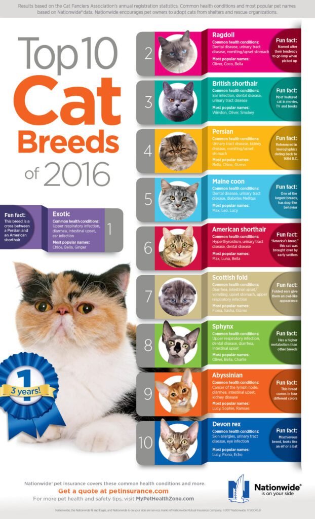 Top 10 Popular Cat Breeds